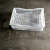 葡萄周轉(zhuǎn)筐，臨沂塑料葡萄筐，葡萄筐生產(chǎn)廠家